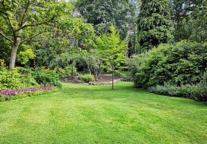 Optimiser l'expérience du jardin à Oberhausbergen